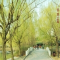 Jinqiao Park